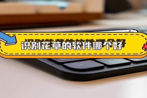行色识花APP下载指南：花卉识别技巧与安装教程