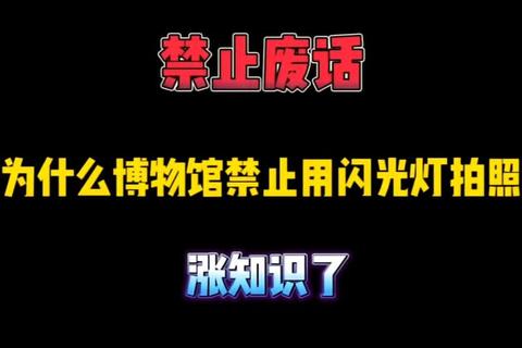 博物馆为什么不能开闪光灯 破解文物损伤隐患与文明观展倡议