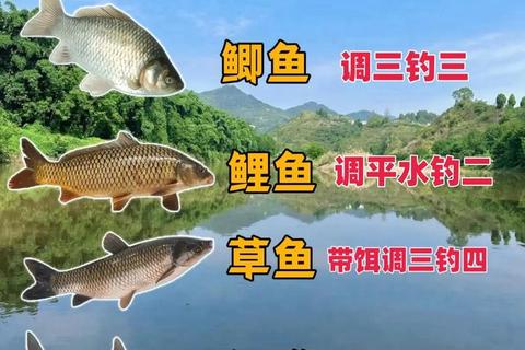 垂钓高手必修课：鱼类图鉴_技巧解析与真实水域模拟全攻略