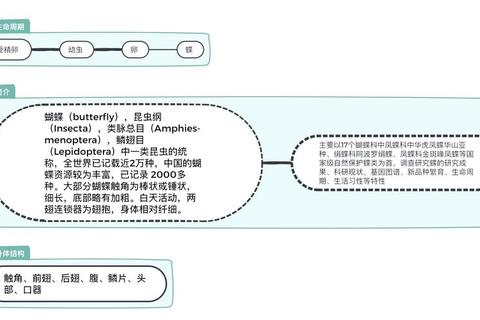 小蝴蝶解谜全流程指南与角色培养进阶技巧解析