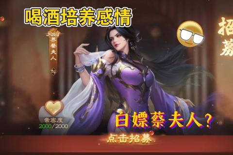 三国杀蔡夫人献州密计与战术深度解析及实战应用指南