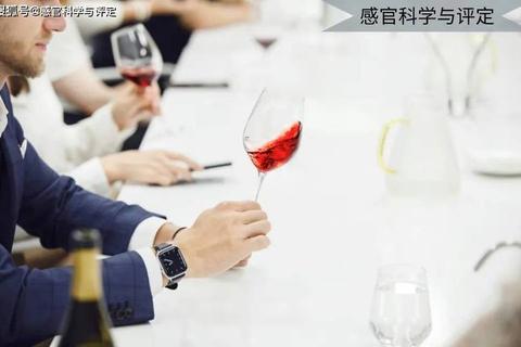 杯酒谜城:味觉挑战赛_解密你的品酒天赋 杯酒谜城:味觉挑战赛_解密你的品酒天赋