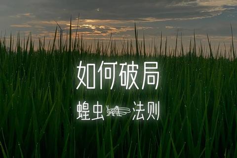 职场新人难突围？适者生存法则教你用什么人什么胜优势破局登顶