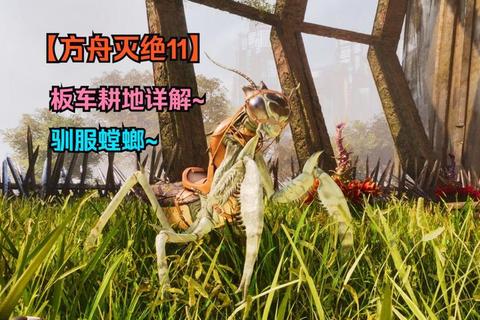 方舟驯螳螂要多少角资源焦虑终结版精准需求与高效获取攻略