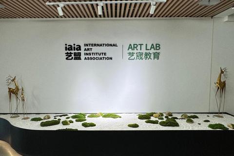 iaia艺盟多少钱费用不透明成困扰，解析方案助你合理规划选择