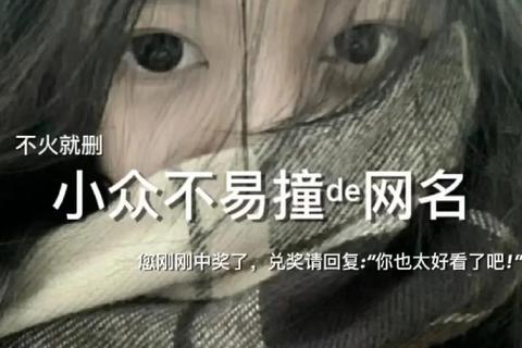 拽系网名冷门高级感小众独特不撞款ins风炸街昵称爆款必备