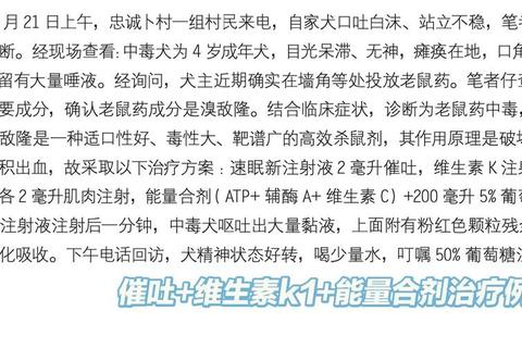老鼠屎吃了会怎么样，潜在危害与急救措施全解析