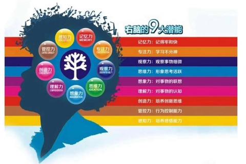 右脑潜能激发：创新游戏挑战你的思维极限