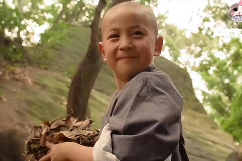 释小龙功夫怎么样真实水平大揭秘从电影到实战全面解析