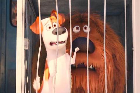 皇家萌犬总动员：小狗宫廷冒险与趣味挑战之旅皇庭犬趣物语-萌宠养成与皇家荣耀争夺战宫廷萌犬奇缘：皇家小狗训练与冒险征程皇家小狗物语_萌宠宫廷历险与策略养成记萌犬宫廷大冒险：皇家宠物训练与成长秘史