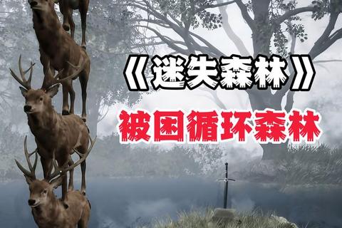 迷失森林全流程通关技巧与隐藏物品收集指南