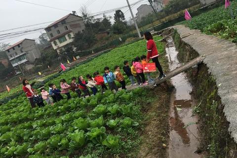 田园协力大作战：趣味拔萝卜挑战赛_亲子农耕乐翻天