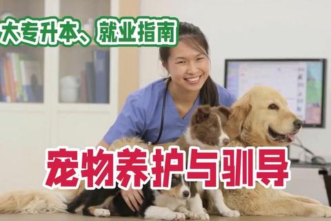 外星宠物驯养终极指南新手快速入门到精通十大必备技巧