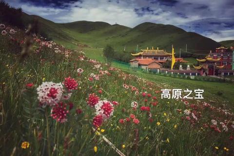 逃离玫瑰寺庙全线索收集与通关步骤深度解析