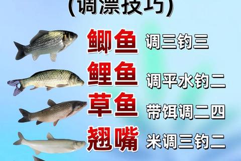 休闲手游钓鱼攻略全指南：零基础到精通技巧速成秘籍