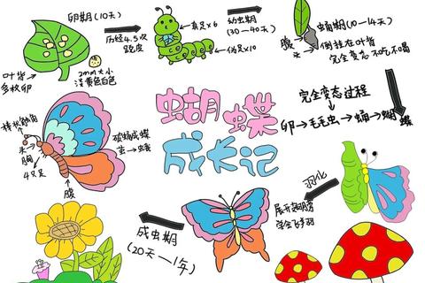 如何捉蝴蝶屡屡失败？掌握三大技巧轻松捕获