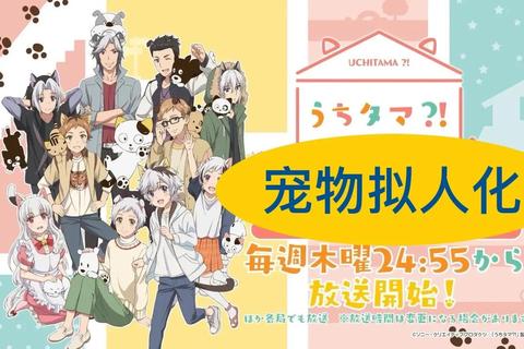 萌宠奇遇记：阿猫阿狗大冒险_宠物互动与趣味闯关全收录