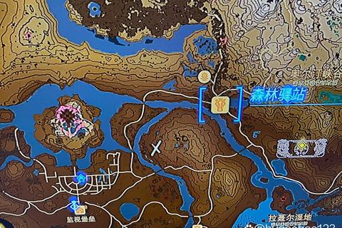 森林王冠之谜隐藏线索位置及通关步骤全地图攻略