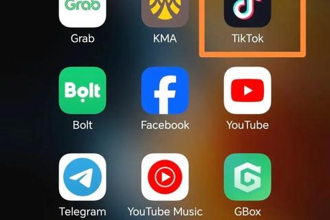 海外抖音TikTok下载全攻略-国际版短视频安装教程及注意事项