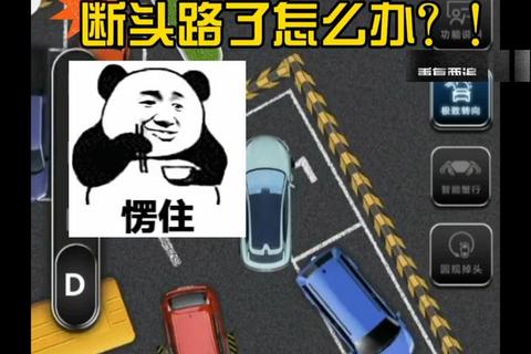 倒车高手挑战赛:停车场极限泊车与竞速驾驶模拟 倒车高手挑战赛:停车场极限泊车与竞速驾驶模拟