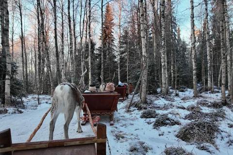 芬兰圣诞极光之旅：罗瓦涅米圣诞老人村与赫尔辛基冰雪城堡打卡全攻略