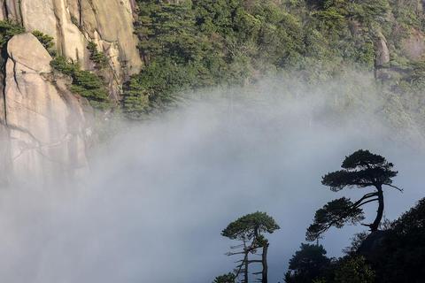 禅意之山：云端永恒的虚实观察者