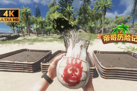 鲁滨逊游戏_荒岛生存挑战：从零开始的资源管理与自由建造之旅