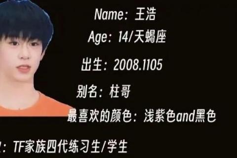 TF家族有哪些成员？最新成员名单及信息获取难题全解析