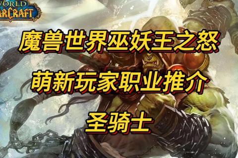 圣骑士传说手游全职业进阶指南副本通关秘籍与技能搭配详解