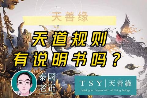 天道手游攻略职业选择与新手进阶技巧全解析