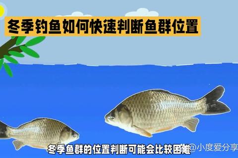鱼在哪里难题破解：三步精准定位鱼群高效上钩