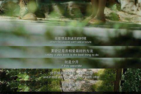 前任攻略经典台词启示在爱情遗憾中寻找成长与释怀的实用指南