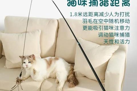 萌爪星乐园：趣味猫咪互动游戏挑战与创意逗猫玩具指南
