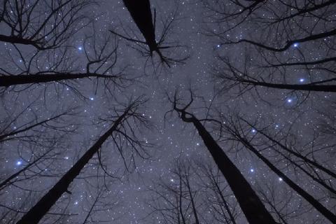 星空动态视频壁纸免费下载：高清4K手机电脑通用夜空视觉盛宴