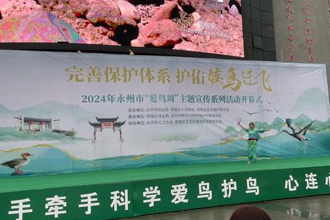 候鸟迁徙困境揭示生态痛点，破解栖息地保护难题守护自然和谐