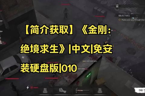 金刚单机游戏终极生存指南 全流程通关技巧与隐藏装备获取攻略