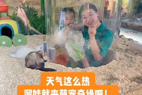 萌宠奇缘_开心宠游戏萌趣养成与互动全攻略 萌宠奇缘_开心宠游戏萌趣养成与互动全攻略