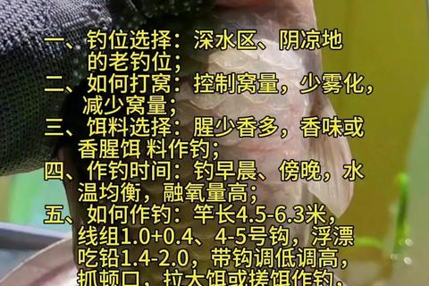 钓鱼王者手游排位赛冲分技巧与游钓中国新手必看攻略秘籍