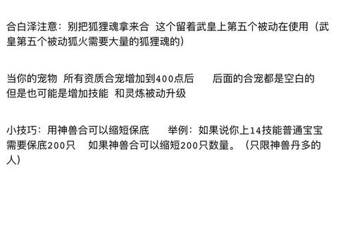 2025新版本乾坤游侠全智力爆发流养成攻略 白嫖侍宠与万象宝盘实战解析