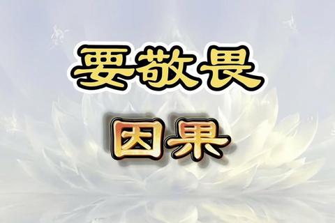 因果游戏全流程攻略 新手必看隐藏任务与BOSS通关技巧终极指南