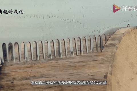 原木切割大挑战:锯木达人的速度与技巧巅峰赛 原木切割大挑战:锯木达人的速度与技巧巅峰赛