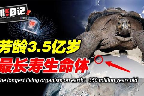 人类为什么会死亡？破解生命终点之谜与延长寿命科学突破