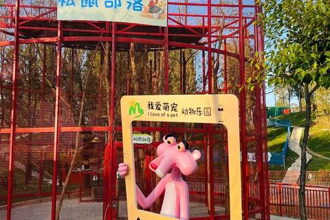 灵动松鼠跃树间_自然乐园大冒险-趣味互动游戏全体验 灵动松鼠跃树间_自然乐园大冒险-趣味互动游戏全体验