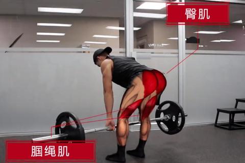 直腿硬拉练哪里总腰酸？五个动作细节告别下背代偿