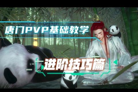 唐门无双高手进阶秘籍连招搭配与实战技巧深度解析
