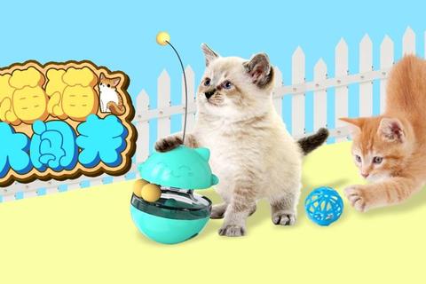 萌爪大冒险_猫咪乐园中的趣味游戏挑战