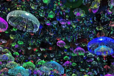 愿望启程:幻境交织的心愿游戏世界探秘之旅 愿望启程:幻境交织的心愿游戏世界探秘之旅