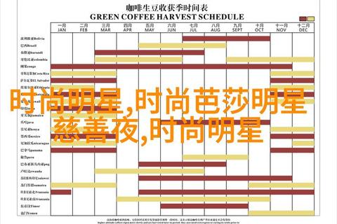 QQ炫舞手游新手速成攻略排位赛技巧与宠物养成秘籍
