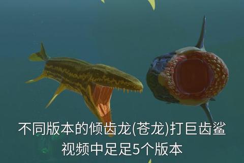 鲨鱼牙游戏-深海猎杀者的终极撕咬对决