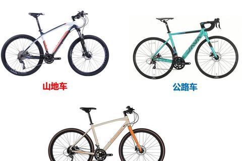 自行车选购终极指南：新手必看十大避坑技巧与高性价比车型推荐